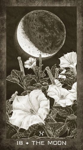 New Era Elements Tarot Eleonore F. Pieper na Arena.pl