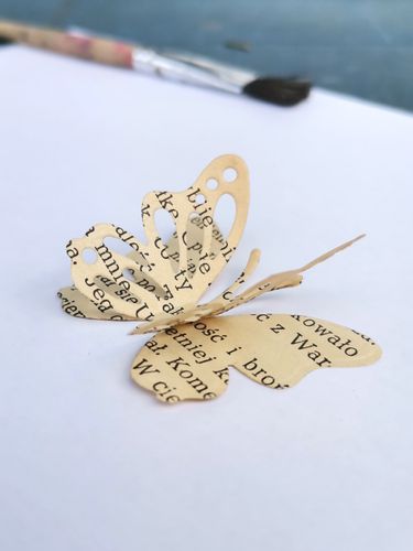 Scrap dekoracja - motyl 3D - 10 szt. na Arena.pl