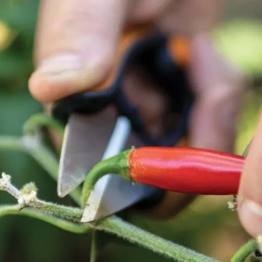 NOŻYCZKI DO ZIÓŁ SP220 SOLID 1063326 FISKARS zdjęcie 7