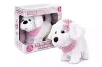 Piesek chodzący na smyczy 122408 Natalia