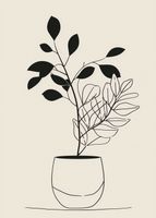 Plakat 39,5x55cm Prostota Doniczki