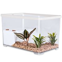 Sunsun Turtle Water Box M - akwarium dla żółwia z wyspą i filtrem