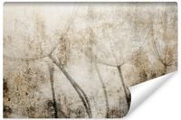 Fototapeta Nasiona Dmuchawca Styl Vintage Beton Abstrakcja 400cm x 280cm