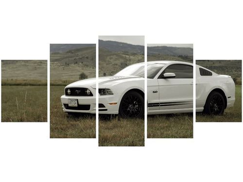 70CM 150CM OBRAZ 5 ELEM MUSTANG GT V8 BRETT LEVIN ŚCIENNY na Arena.pl