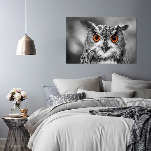 Obraz na płótnie - Canvas, Sowa 2 50x70 na Arena.pl