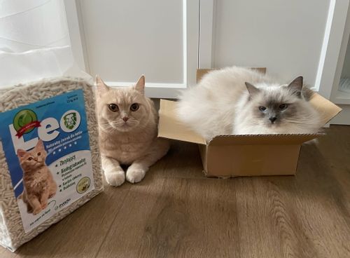 Naturalny żwirek dla kotów Leo - bezpieczny, niepylący na Arena.pl