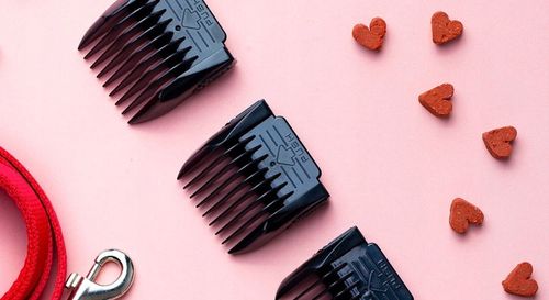 Maszynka do strzyżenia psów CAMRY CR 2821 na Arena.pl