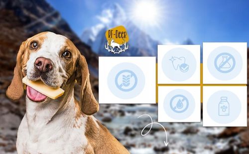 Ser himalajski M / 60-79g Gryzak zdrowy przysmak dla psa serek 13-14 cm na Arena.pl