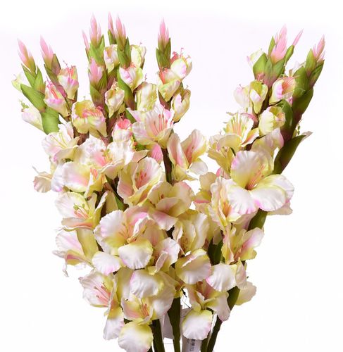 Mieczyk jasno zielony 84cm na Arena.pl