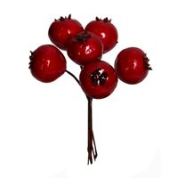 Głóg czerwony na druciku12 cm