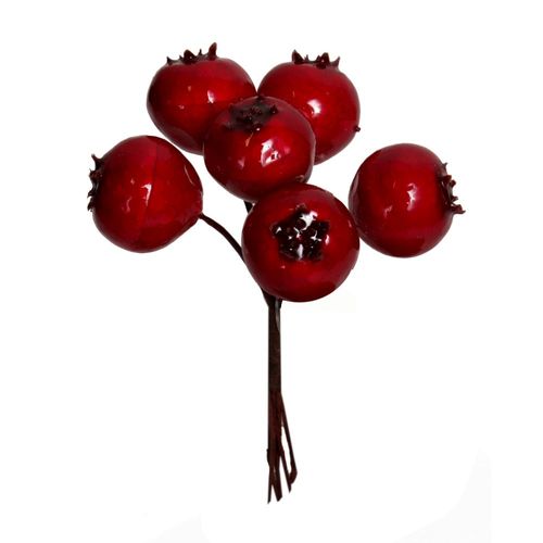 Głóg czerwony na druciku12 cm na Arena.pl