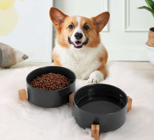 MISKA CERAMICZNA PODWÓJNA DLA PSA I KOTA 2 MISKI DREWNIANA PODSTAWA 2x400ml na Arena.pl