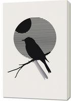 Obraz 60x90cm Kontrast Smukłości