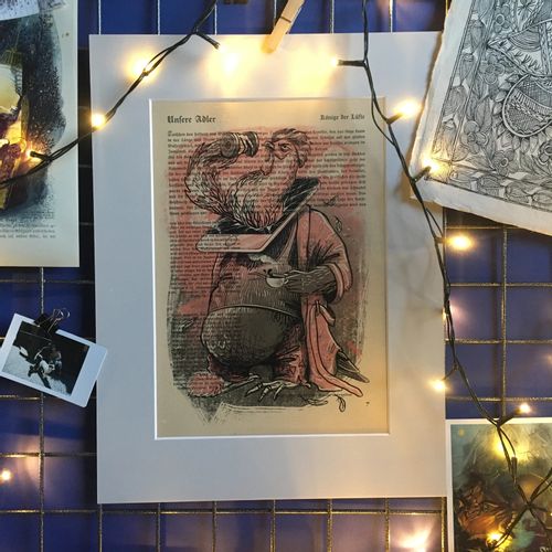 Birdbook plakat 22 x 33 cm na Arena.pl