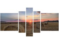 product-compare-58698249