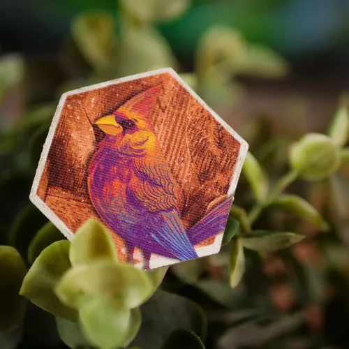 GRA SZEPCZĄCY LAS na Arena.pl