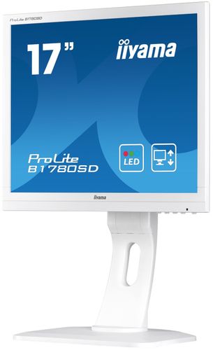 Monitor iiyama ProLite B1780SD-W 17" LED na Arena.pl