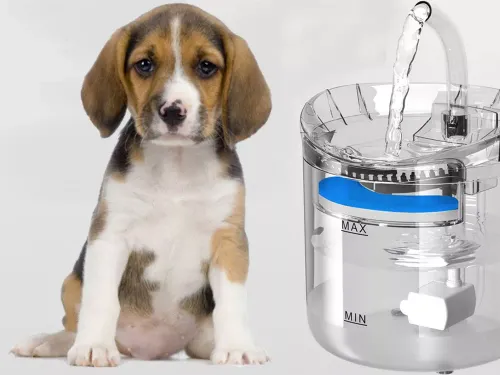 Automatyczne poidełko dla kota psa fontanna cicha miska poidło na Arena.pl