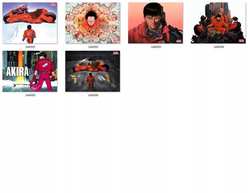 Poduszka Akira DO WYBORU na Arena.pl