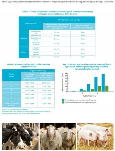 SUCHA DEZYNFEKCJA kurnika obory gołębnika Dezynfekant LIDER 25KG na Arena.pl
