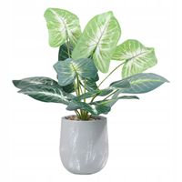 SZTUCZNA Roślina W DONICZCE REALISTYCZNA 40cm ALOKAZJA do DOMU BIURA