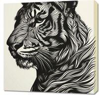 Obraz 70x70cm Tygrysi Gwizd