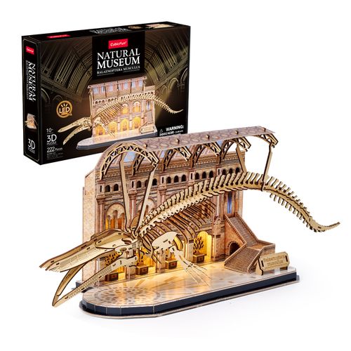 Cubic Fun Puzzle 3D Led  Płetwal Błękitny 5454 na Arena.pl