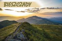 product-compare-52615479