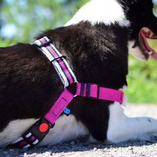 Szelki treningowe dla psa typu easy walk, ODBLASKI na Arena.pl