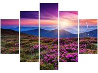 product-compare-58638843