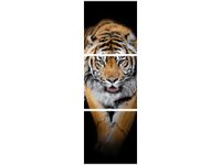 90X30CM TYGRYS TRÓJ OBRAZ DRUK