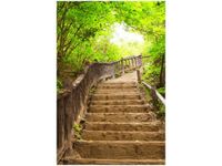 40X60CM OBRAZ STAIRS TO HEAVEN SCHODY DREWNIANE DRZEWA