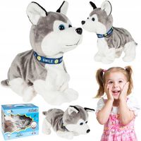 PIES PIESEK INTERAKTYWNY HUSKY REAGUJE NA DOTYK SZCZEKA KŁADZIE SIĘ SIADA