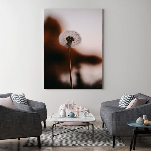 Obraz na płótnie – Canvas, dmuchawiec 40x60 na Arena.pl