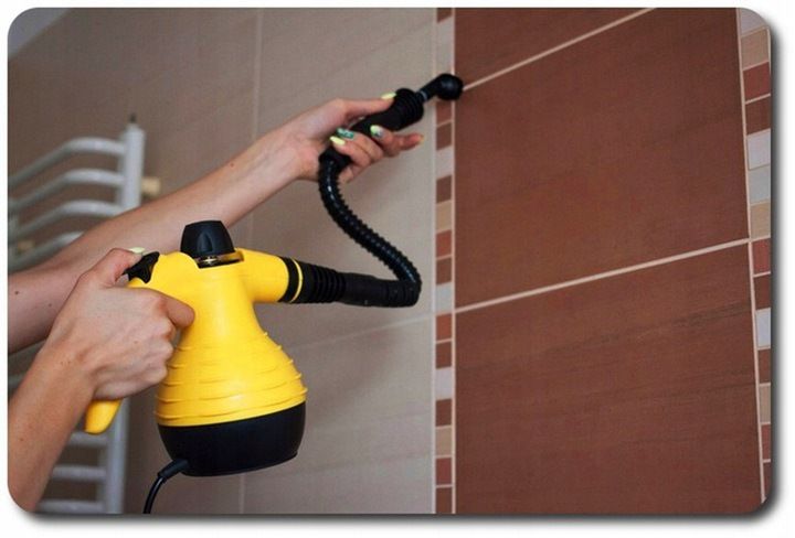 PAROWNICA na PLUSKWY Myjka Parowa Czyścik Ciśnieniowy 1050W 115 stopni zdjęcie 5