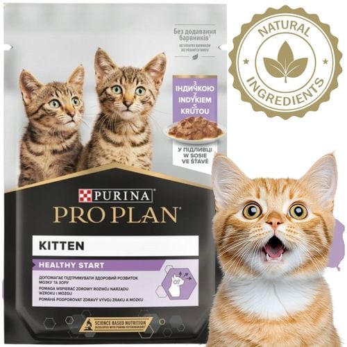 karma mokra dla kociąt pro plan kitten indyk w sosie 85 g z prebiotykiem na Arena.pl
