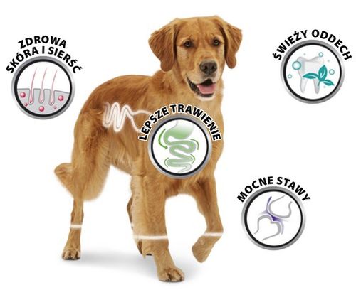 Niskotłuszczowy przysmak z chondroityną dla psa 8in1 Filety z kurczaka 80g na Arena.pl