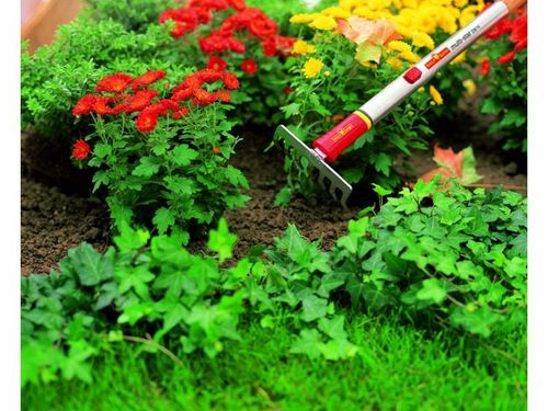 WOLF GARTEN GRABIE 19CM DS-M 19 na Arena.pl