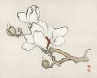 Plakat 50x40cm Magnolia, Kōno Bairei Japoński Vintage do Salonu