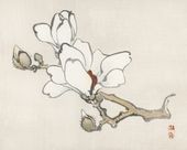 Plakat 50x40cm Magnolia, Kōno Bairei Japoński Vintage do Salonu