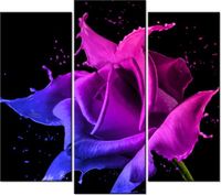 product-compare-58708573