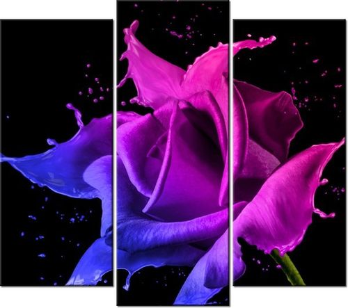 90 80CM OBRAZ T3 ELEM RÓŻA FARB JAKUB BANAŚ DRUK ŚCIENNY na Arena.pl