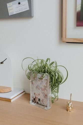 Ramka/organizer Optic na Arena.pl