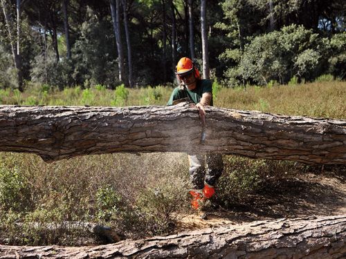 OLEO-MAC GSH 560 PIŁA PILARKA PRZECINARKA SPALINOWA ŁANCUCHOWA DO DREWNA GSH560 3,8 KM 46cm 18" KLASA PREMIUM 50329051E2 GSH EWIMAX-OFICJALNY DYSTRYBUTOR - AUTORYZOWANY DEALER OLEO-MAC na Arena.pl