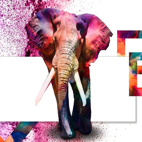 Deco Panel, Potężny słoń 90x60 na Arena.pl