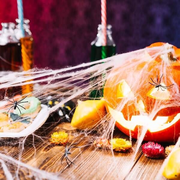 Dekoracja na Halloween pajęczyna z 2 pająkami 60g ozdoba sieć pajęcza 3,5 m zdjęcie 5
