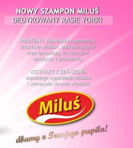 CERTECH Szampon Miluś York 200 ml na Arena.pl