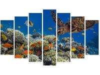 OBRAZ PODWODNA NATURA