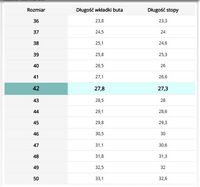 Buty robocze BHP skórzane TRZEWIKI z podnoskiem BRYES-T-SB bezpieczne r. 43