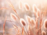 product-compare-59371613